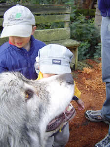 Baxter shows off for the kids