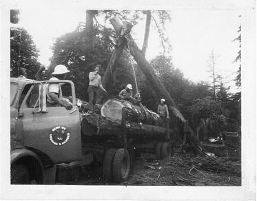 Eric and Blue Ox Logging partners load salvage logs onto Ophelia Bumps